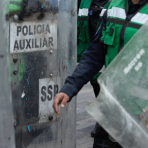 Policia auxiliar